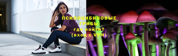 эйфоретик Баксан