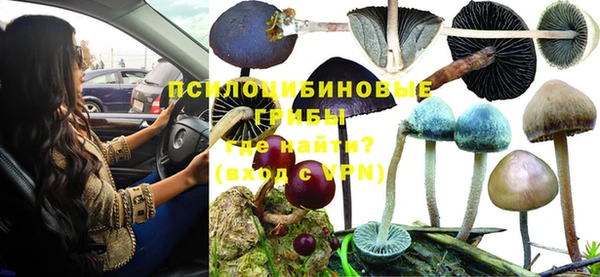 эйфоретик Баксан