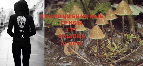 стафф Балабаново
