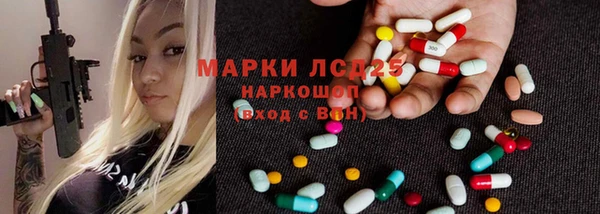 эйфоретик Баксан